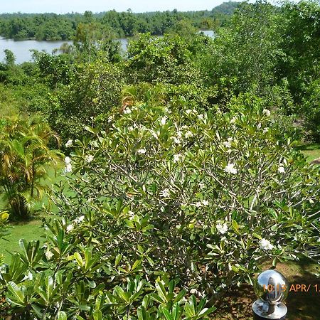 Sobaco Nature Resort Bentota Esterno foto