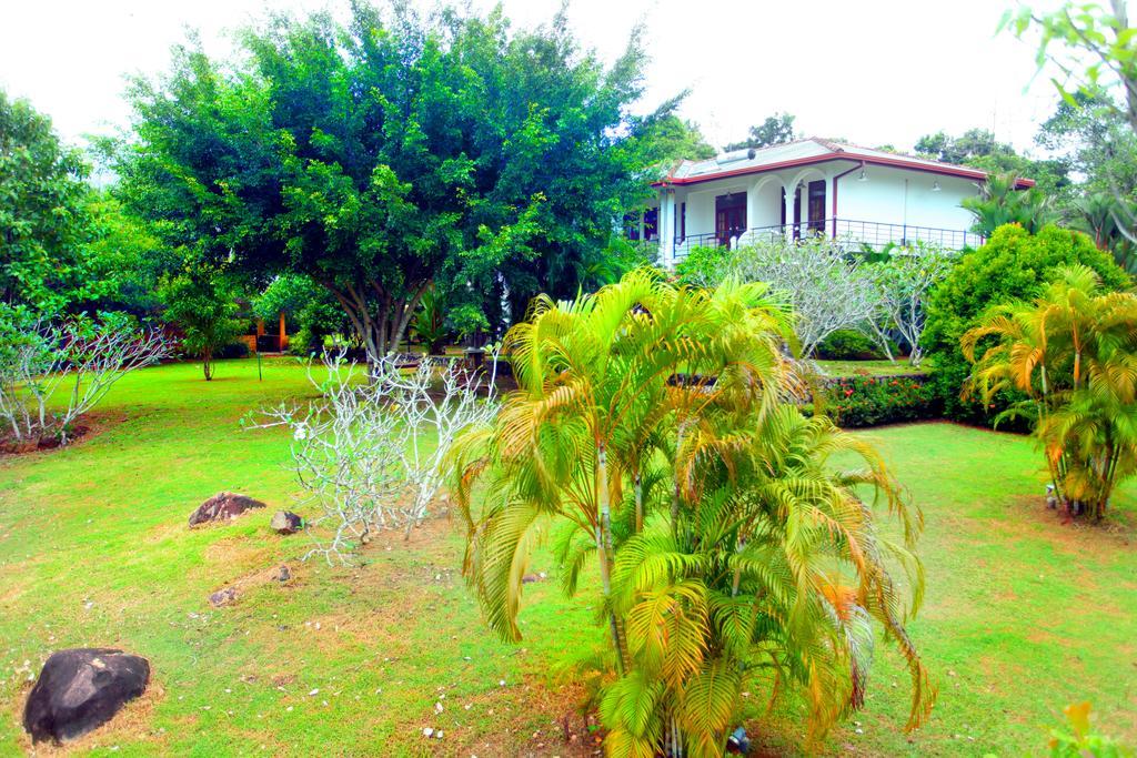 Sobaco Nature Resort Bentota Esterno foto
