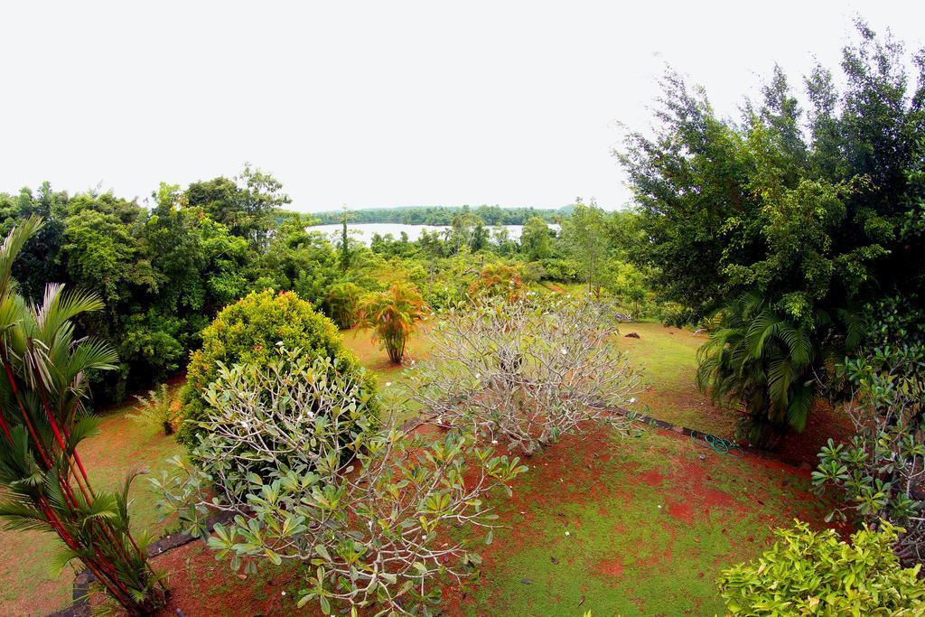 Sobaco Nature Resort Bentota Esterno foto