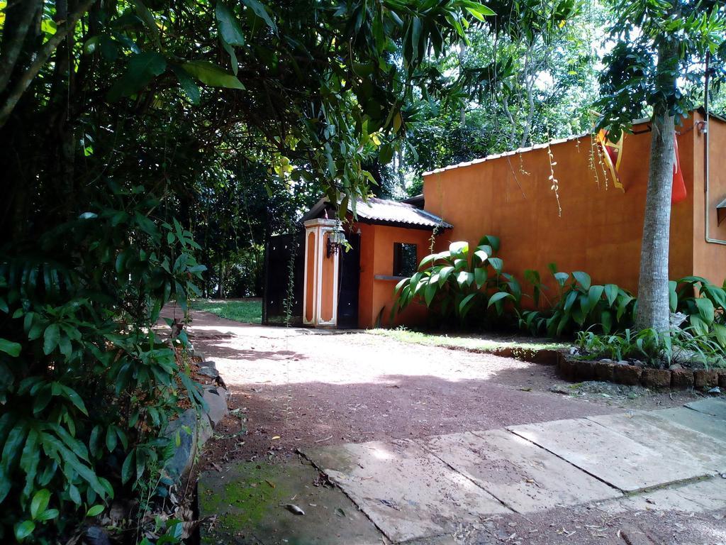 Sobaco Nature Resort Bentota Esterno foto