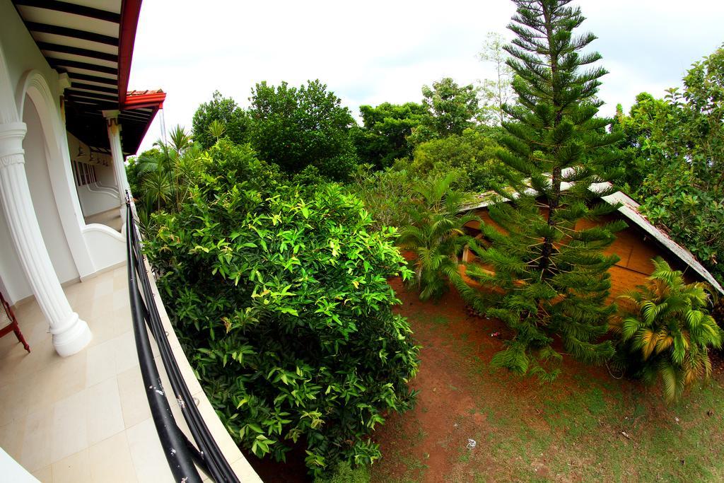 Sobaco Nature Resort Bentota Esterno foto