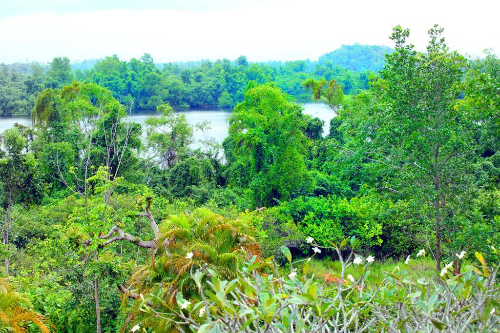 Sobaco Nature Resort Bentota Camera foto