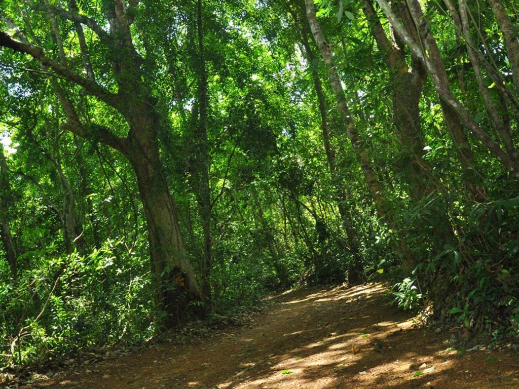 Sobaco Nature Resort Bentota Esterno foto